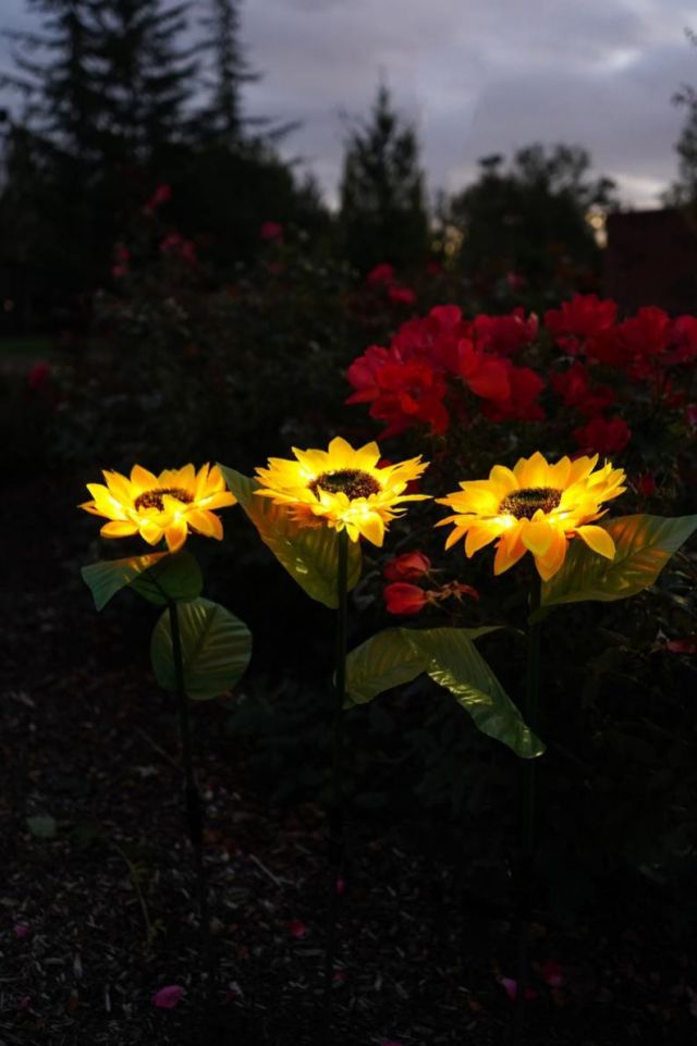 Outdoor Sunflower Solar LED Lighting (2PC)